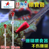 Red Starfish new acrylic coral feeder coral food feeding tube fish tank feeding tool feeding straw