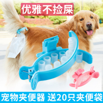 Pooch automatically ten toilet out to pull shit to pick up the shit and then the dog poo the dog poo poo poo poo the poo bag