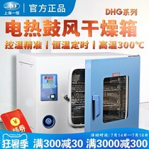 Shanghai Yiheng drum drying oven industrial electric heating constant temperature oven DHG-9030A laboratory small drying box