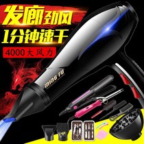 Hair Salon Electric Hair Dryer High Power 5000 Home Wind Cylinder Silent Silent Comb Pet