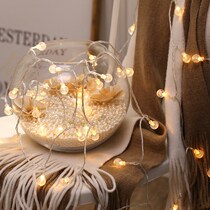 New manufacturer wholesale bubble ball light string LED Christmas light wedding party bedroom decorative round ball small coloured lights
