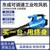  Dongcheng electric hair dryer 1200W blower FF-120 high-power dust collector Industrial grade Dongcheng hair dryer