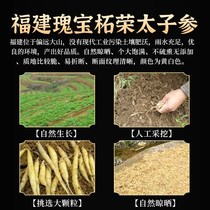 Prince ginseng official flagship store childrens soup materials Chinese herbal medicine special childrens ginseng can take Ophiopogon japonicus