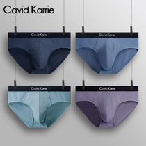 Cavid Karrie mens underwear Modal incognito briefs Breathable sexy mens pants youth shorts panties