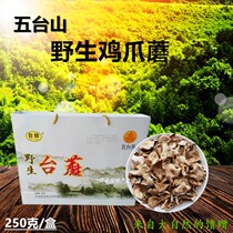 Shanxi specialty Wutai mountain wild Taiwan mushroom Taiwan rare chicken feet mushroom dried mushroom mountain rare fungus gift box