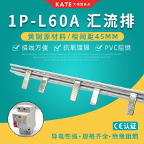  1P leakage 60A electrical bus Brass DZ47 air-open connection row 45mm spacing single-phase circuit breaker wiring