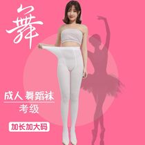 Spring and summer thin white dance socks steel socks plus fat plus size adult girl student practice socks special pantyhose