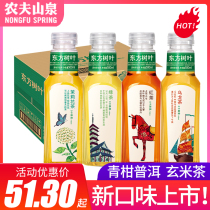 Nongfu Spring Oriental Leaf 500ml Jasmine Tea Green Orange Puer Oolong Tea Sugar-Free Tea Drink Summer Drink