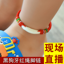 2021 New Black Dog Tooth Anklet Male and Female Baby Baby Child Red Rope Real Dog Teeth