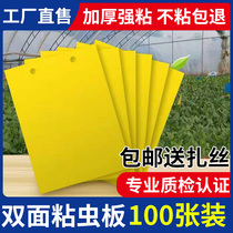 Strong armyworm board Insect lure board Double-sided yellow board Orchard thrips Agricultural greenhouse special dip insect board Household rebound