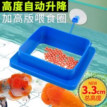 Fish tank feeding ring guppies feeding ring small fish food feeding ring floating force feeding ring goldfish food