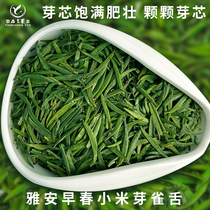 Ming front bird tongue 2021 new tea green tea Alpine Sichuan Mengding Super bamboo leaf fried green rice Bud bulk gift box 250g