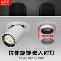 Stretchable LED spotlights embedded COB adjustable angle home living room porch shop photo elephant trunk telescopic lights