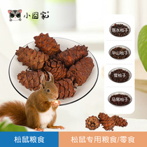 Squirrel grain staple food staple food snacks Huangshan food food feed horsetail pine nuts pine pines molars supplies