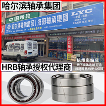 HRB Harbin Bearing 7200 7201 7202 7203 7204 7205 ACTA P5 DB DF DT