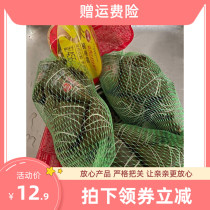 Sanquan net bag zongzi three full dragon boat dumpling gift box Henan sweet zongzi bean paste dumplings Dragon Boat Festival gift