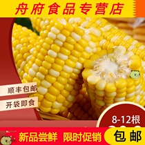  Yunnan fruit corn open bag ready-to-eat sweet corn cob meal replacement cook-free vacuum packaging new goods 5 kg 8-