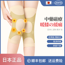 Japanese magnetotherapy kneecap cover warm and old chill leg hot compress male and female knee joint elderly special spring and autumn non-slip sheath