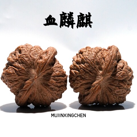 セール中　血麒麟核桃 極上逸品 文玩核桃血麒麟精选和文玩核桃血麒麟品牌价格与图片-淘宝商品网