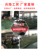 Anti-aerial photography of the United States four colors from the forest camouflage net Single-layer shading net Outdoor shading mountain greening interior decoration net