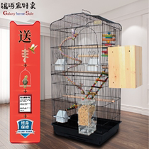 Bird cage Daquan Parrot cage Xuanfeng Wren tiger skin New large household breeding villa extra large bird cage accessories
