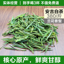 Anji White Tea-380 Jin Guijia Tea New Tea Xilong Original Orchid Fragrant Glycol Fresh Ration Tea 250g