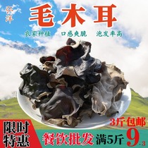 White back fungus dry goods 500g hairy fungus ground fungus bulk Bulk crispy fungus black fungus black fungus Sichuan hot pot ingredients New Products