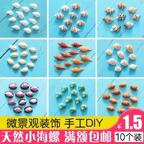 Natural small shell conch meat micro landscape ornaments glass wishing bottle kindergarten handmade diy material decoration