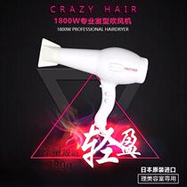 Imported Sirang hot HAIR dryer 1800W wind drum shape blowing HAIR dryer C353