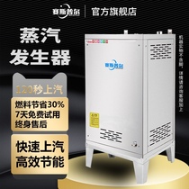 Sespur gas steam generator commercial energy-saving steamer steamer steam cabinet brewing tofu intelligent steam engine