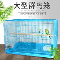 Budgerigar bird cage Starling Xuanfeng bird cage Pigeon cage Large oversized extra large villa breeding household