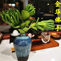 (Pickled and found) Jinhua bergamot fresh bergamot bergamot with branches hydroponic clear water for viewing