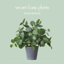 Simulation green plant potted basic foliage plant eucalyptus home living room dining room office desktop ornaments