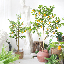 Sicilian simulation plant California lemon tree potted Nordic home floor green things shop clothing store decoration