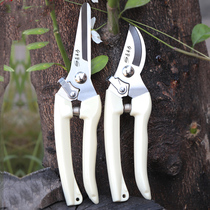 Gardening scissors flowers and trees stainless steel pruning flowers scissors pruning shears fruit shears flowers and branches