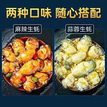 Instant Oyster Canned Seafood Oyster Fast food Spicy Octus Sculpture Occupy Scanoster Oyster Meal