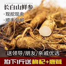 Fresh ginseng Changbai Mountain fresh ginseng with soil large branch wine stew soup northeast under the forest fresh ginseng garden ginseng whole branch fresh