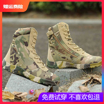 Fighting boots male Winter non-slip wear-resistant desert python tactical boots wild Special Forces Desert Boots high climbing boots