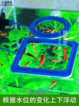  New fish tank Aquarium Fish feeder Feeding ring Small fish tank feeding floating ring Feeding fish food feeding ring