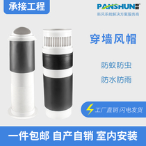 Panshun through wall Hood integrated fixed air outlet kitchen range hood outside Wall air outlet Hood air vent exhaust hood