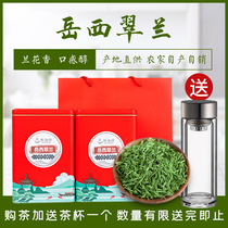 Yuexi Cuilan 2021 New Tea State Guest Gift 500g Home Handmade Tea Anqing Anhui Green Tea Mountain Clouds