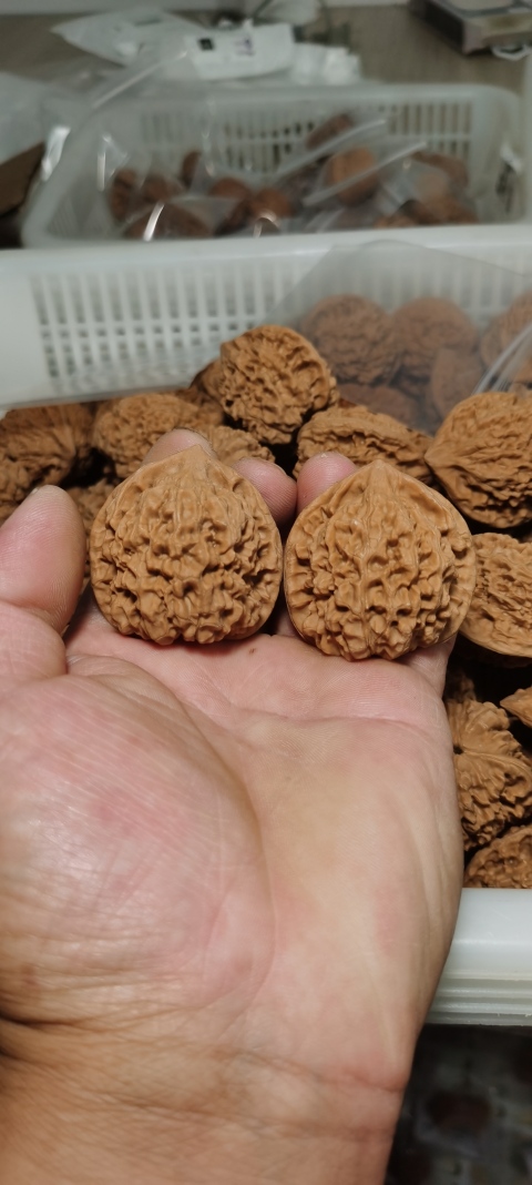 文玩核桃血麒麟精选和文玩核桃血麒麟品牌价格与图片-淘宝商品网