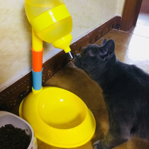 Dog water dispenser Vertical non-wet mouth Dog kettle Bixiong Shiba Inu Cat pet automatic water feeder Puppy water dispenser