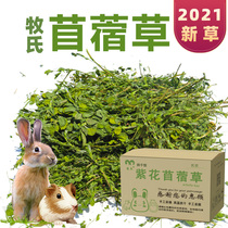 Alfalfa 2021 new grass rabbit Chinchoro pasture rabbit grain guinea pig feed hay gross weight 1000g