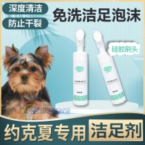 Yorkshire Special Foam Liquid Dogs Dog Paws Palate God Bottled Theologie Universal Pooch Washout Foam Foot Clean