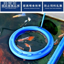 Feeding feeder Feeding tube Guppy buoyancy ring Fixed-point small feeding shrimp feeding ring Fish feeder fish tank