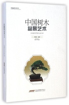 Genuine Chinese tree bonsai art Huang Yingquan