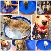Pet bath tub Foldable Large dog Golden retriever dog special swimming pool Bathtub Bath tub Cat bath tub