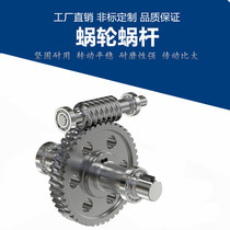 Worm gear and worm reducer Large transmission ratio No 45 steel and copper parts Metal gear non-standard customized module processing optional