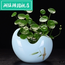 Copper grass hydroponic flower pot ceramic container creative simple bowl lotus pot special green daffodil water lily basin big